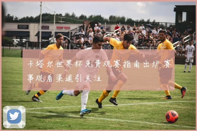 卡塔尔世界杯免费观赛指南出炉 赛事观看渠道引关注