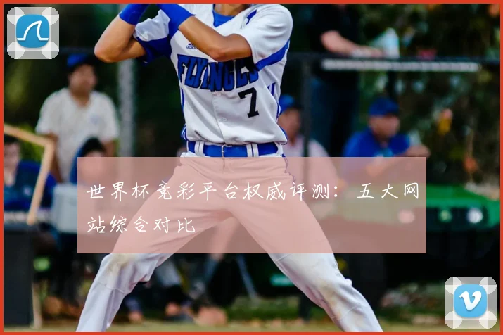 世界杯竞彩平台权威评测:五大网站综合对比