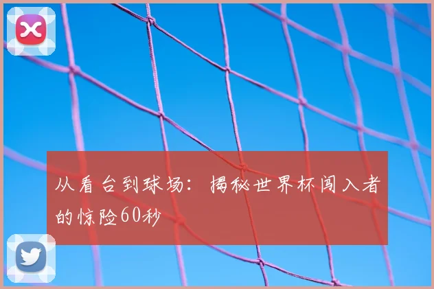 从看台到球场：揭秘世界杯闯入者的惊险60秒