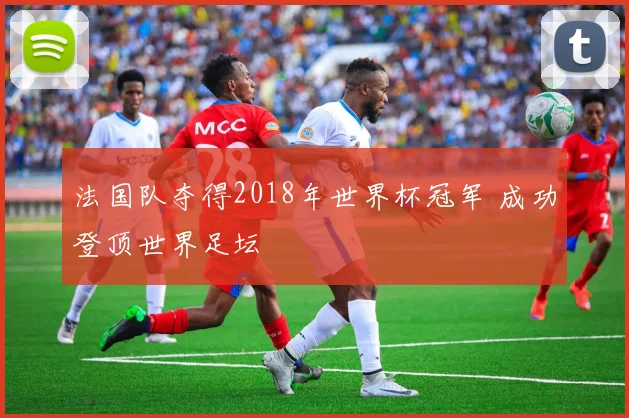 法国队夺得2018年世界杯冠军 成功登顶世界足坛