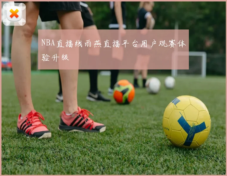 NBA直播线雨燕直播平台用户观赛体验升级